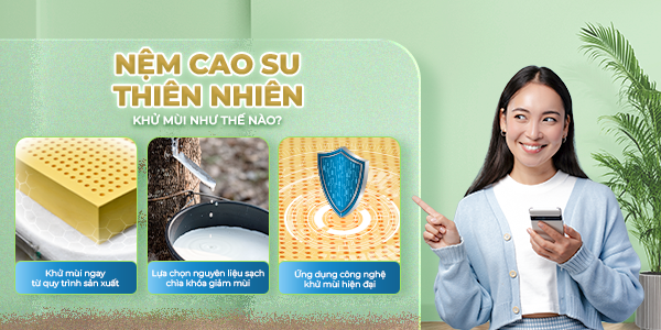 Nệm cao su thiên nhiên khử mùi như thế nào? Bí quyết giữ nệm luôn thơm tho và sạch sẽ