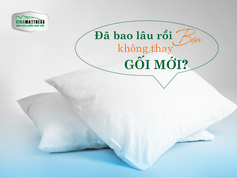 BẠN CÓ NHỚ LẦN CUỐI CÙNG MÌNH THAY GỐI MỚI LÀ KHI NÀO?