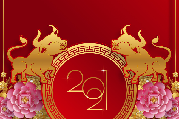 Vinamattress congratulations year of the Ox 2021!