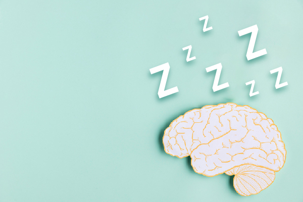 SCIENTIFIC DECODING: SLEEP OR BRAIN, WHICH CAME FIRST?